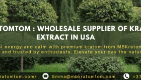 MB Kratomtom – Trusted Wholesale Supplier of Kratom Extract in USA