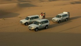 Best Desert Safari Tour Deals