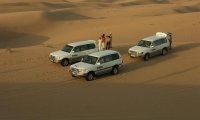 Best Desert Safari Tour Deals